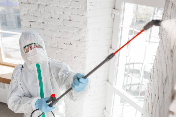 Herricks, NY Mold Removal Company